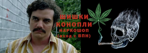 прущие грибы Арсеньев