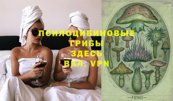 индика Пролетарск