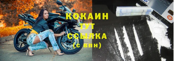 прущие грибы Арсеньев