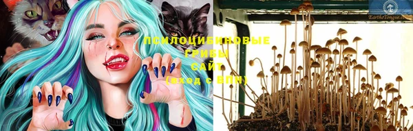 прущая мука Протвино