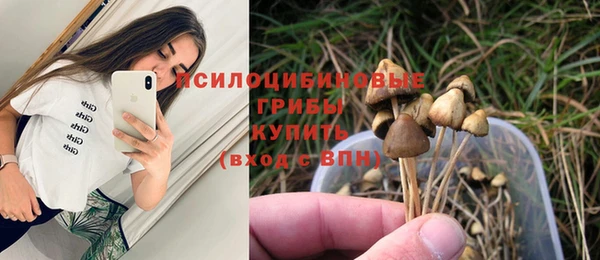прущие грибы Арсеньев