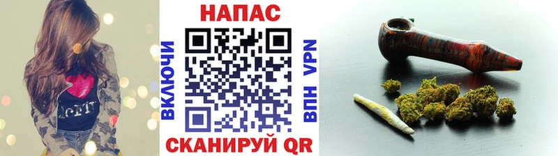 МЕГА как зайти Фокино Марихуана гибрид